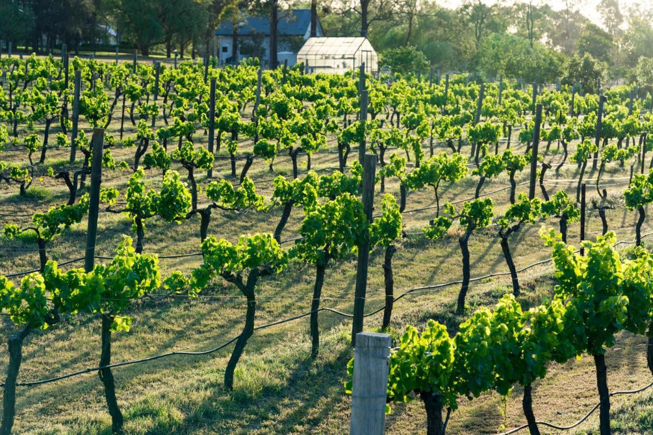 Thistle Hill Guesthouse - Walk To Many Wineries And Restaurants Pokolbin Luaran gambar