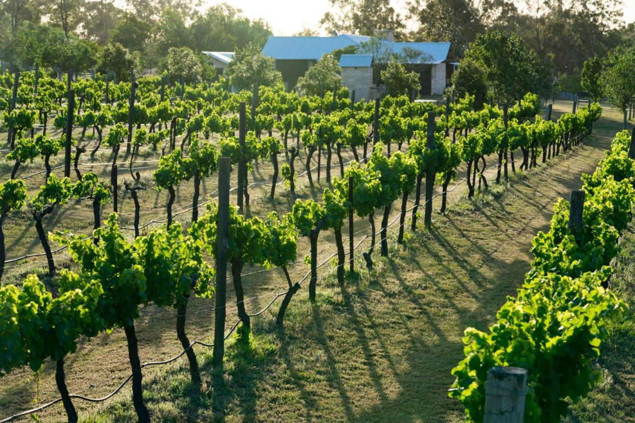 Thistle Hill Guesthouse - Walk To Many Wineries And Restaurants Pokolbin Luaran gambar