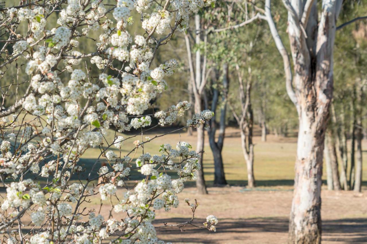 Thistle Hill Guesthouse - Walk To Many Wineries And Restaurants Pokolbin Luaran gambar