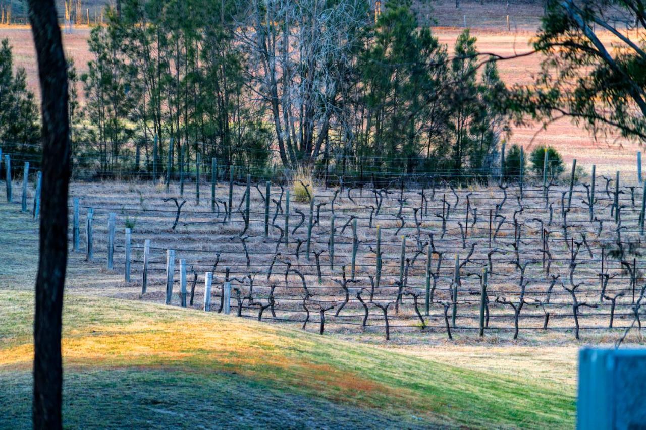 Thistle Hill Guesthouse - Walk To Many Wineries And Restaurants Pokolbin Luaran gambar
