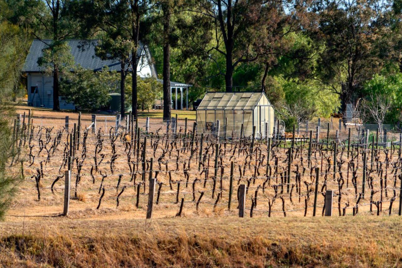 Thistle Hill Guesthouse - Walk To Many Wineries And Restaurants Pokolbin Luaran gambar
