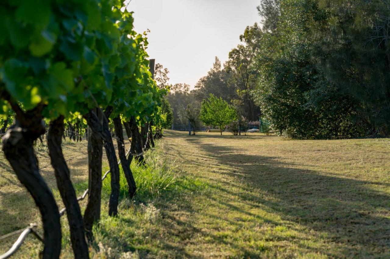 Thistle Hill Guesthouse - Walk To Many Wineries And Restaurants Pokolbin Luaran gambar