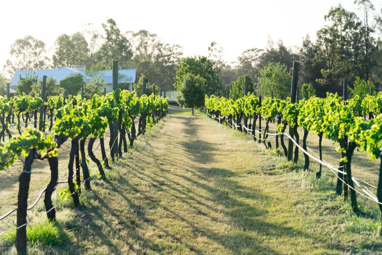 Thistle Hill Guesthouse - Walk To Many Wineries And Restaurants Pokolbin Luaran gambar